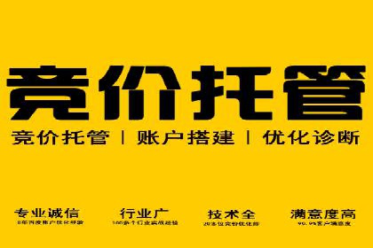 突破关键词竞价排名困境的案例解析